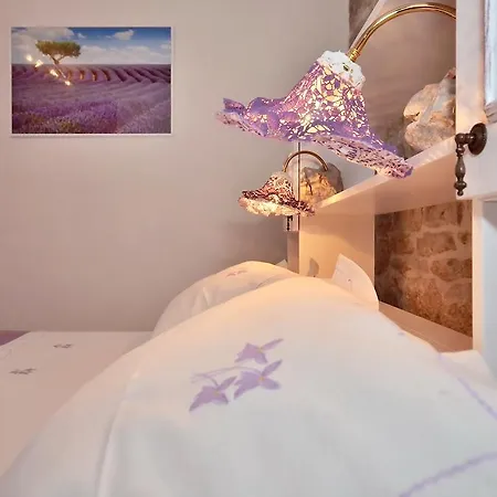 게스트하우스 Vilini Dvori